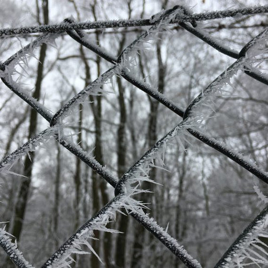 Himmel im Winter: Magische Himmelsbilder und die Suche nach dem Frühling