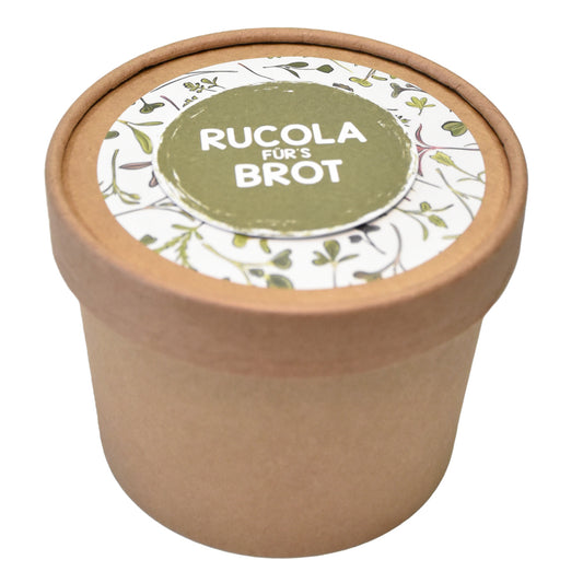 Rucola Samen – Ein grüner Traum fürs Brot