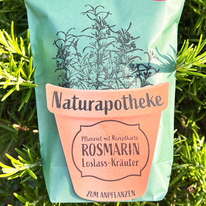 Naturapotheke Rosmarin