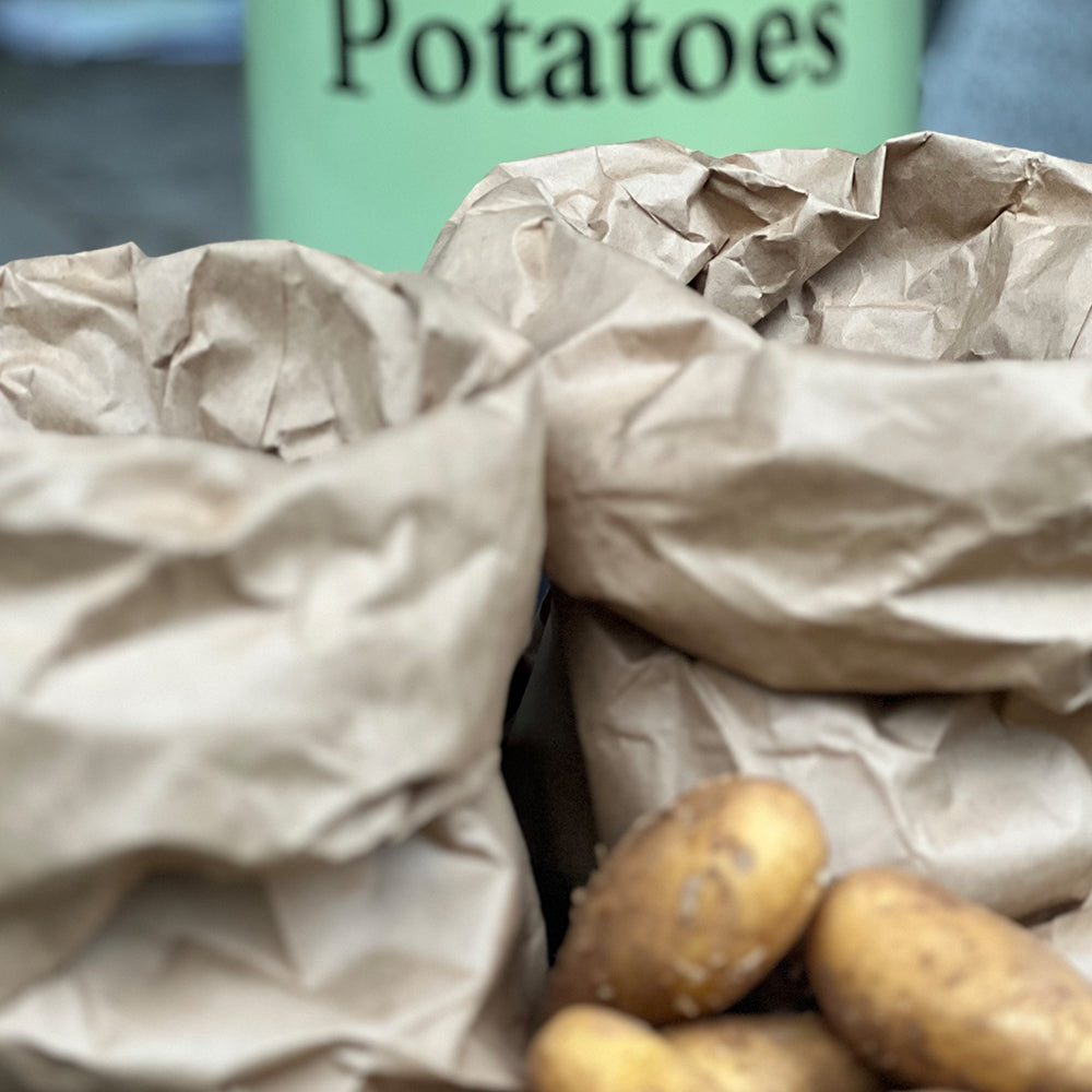 kartoffeln pflanzen im sack