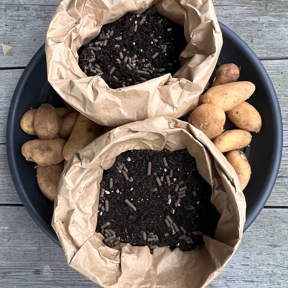 kartoffeln pflanzen im sack mit Naturdünger