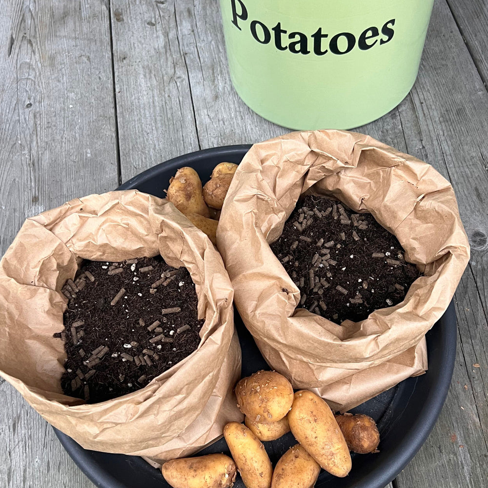 Kartoffeltopf mit Pflanztüten