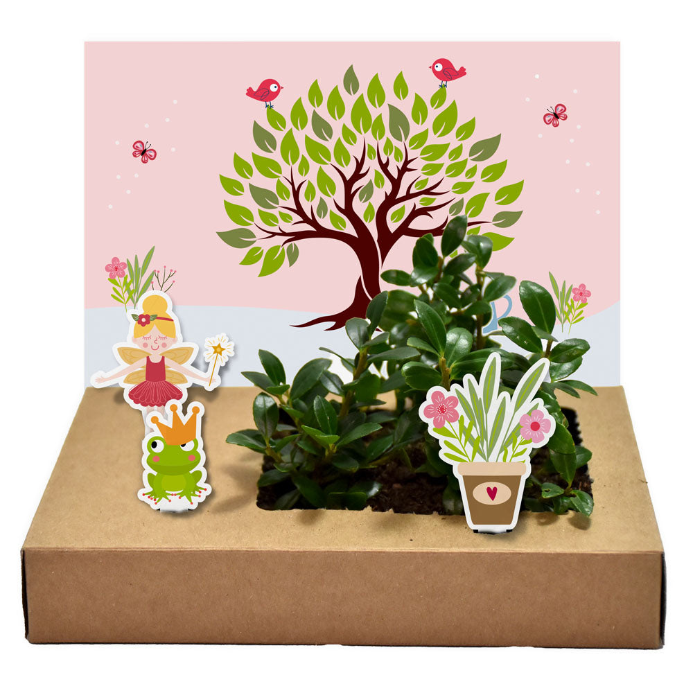 Mini-Garten Wunschbaum -Kreatives Pop Up Garten Set