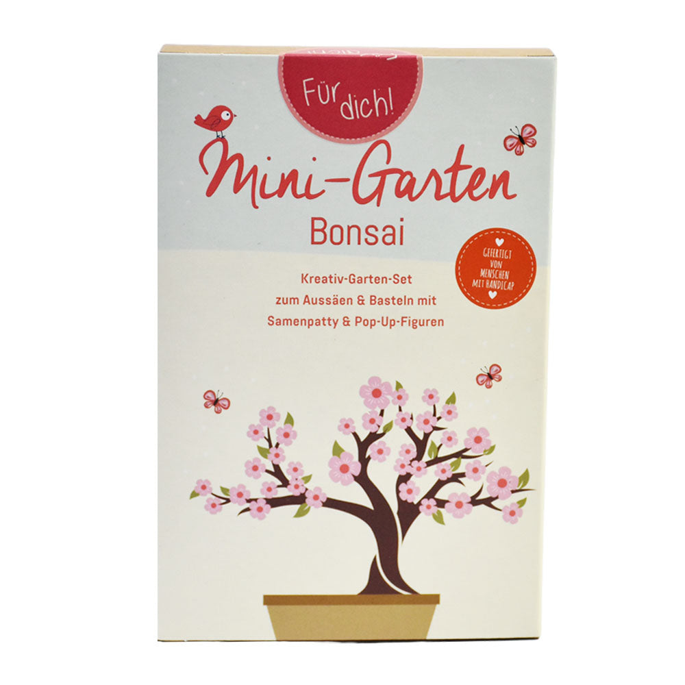 Bonsai Anzucht Set – Dein Mini-Garten für den Bonsai-Trend