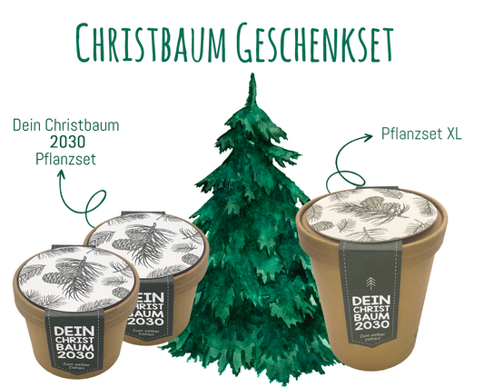 Christbaum Geschenkset- ein besonderes Geschenk